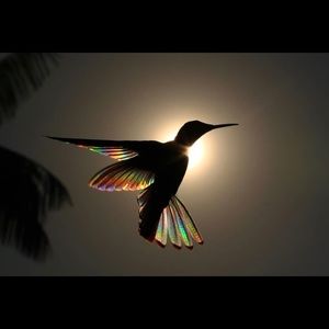 Meet your Posher, Johanna